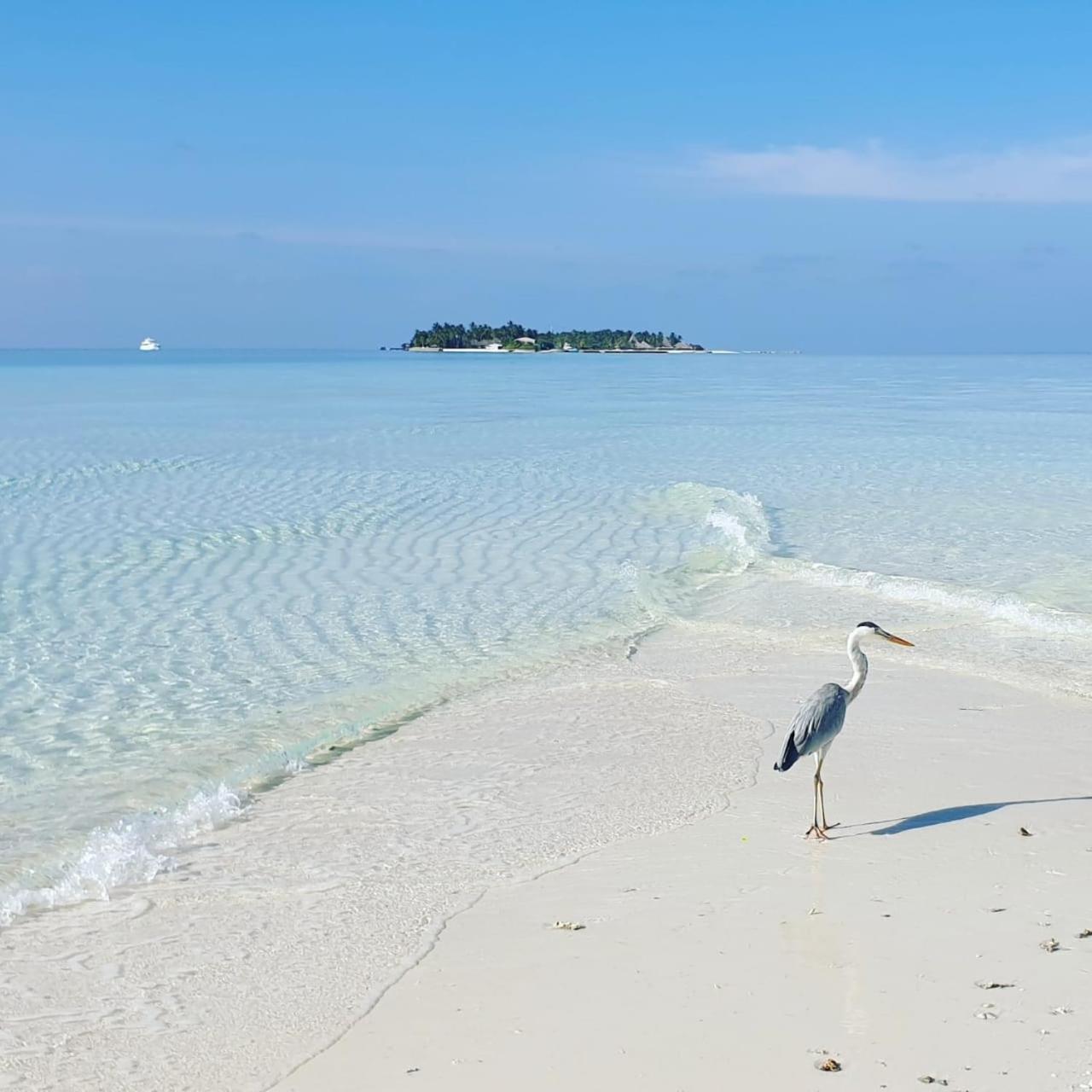 Ukulhas Villa Beach Hotel Екстер'єр фото